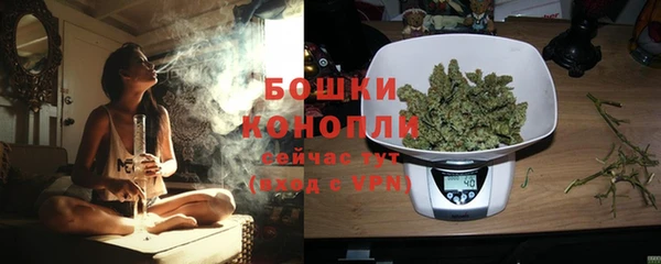 не бодяженный Богданович