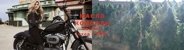 Альфа ПВП Богородск