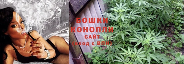 не бодяженный Богданович
