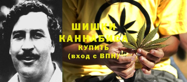 Альфа ПВП Богородск