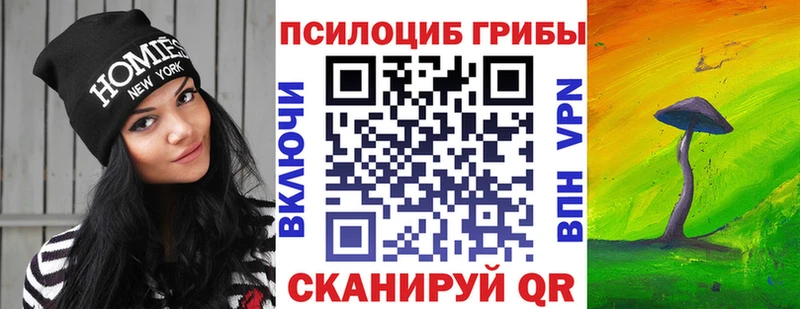 Псилоцибиновые грибы Psilocybe купить наркоту Кирс