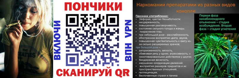 Шишки марихуана OG Kush Кирс